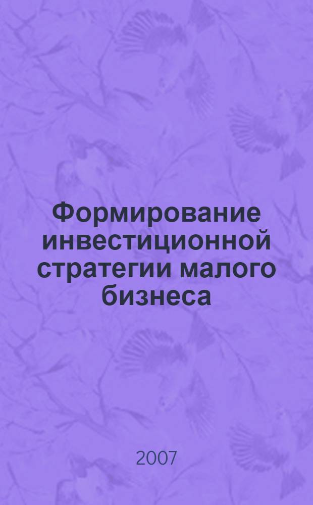 Формирование инвестиционной стратегии малого бизнеса: мировой опыт и российская практика : автореферат диссертации на соискание ученой степени к.э.н. : специальность 08.00.14 <Мировая экон.>