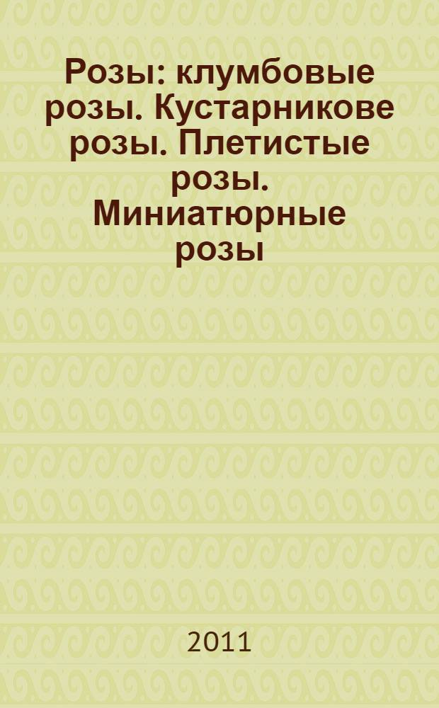 Розы : клумбовые розы. Кустарникове розы. Плетистые розы. Миниатюрные розы