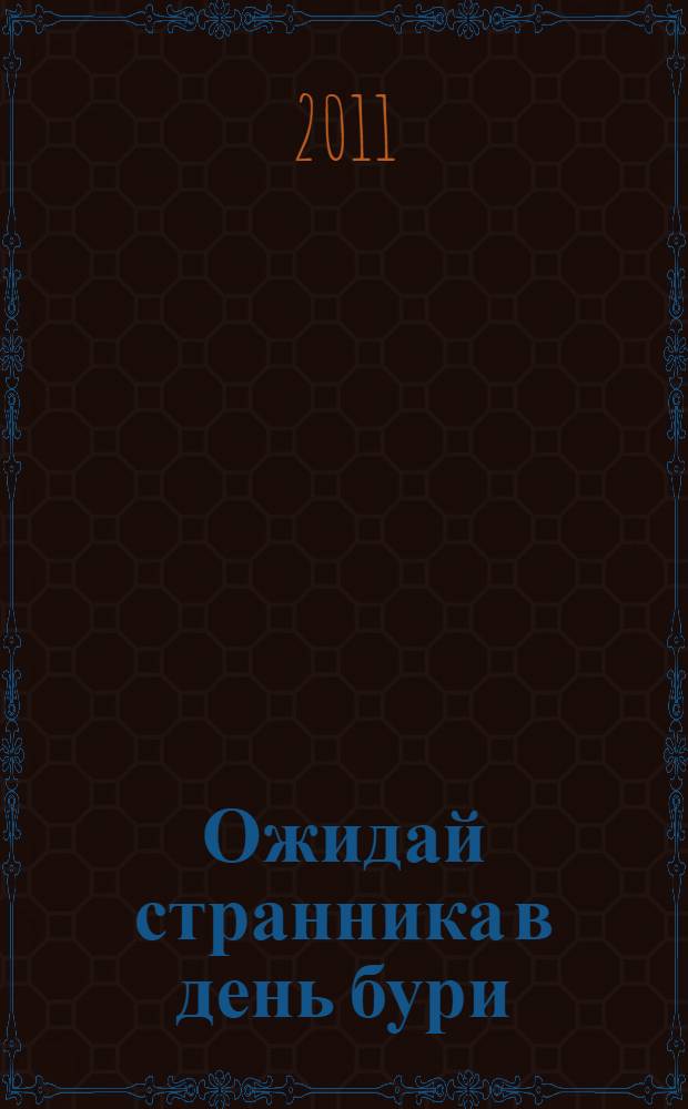 Ожидай странника в день бури : роман