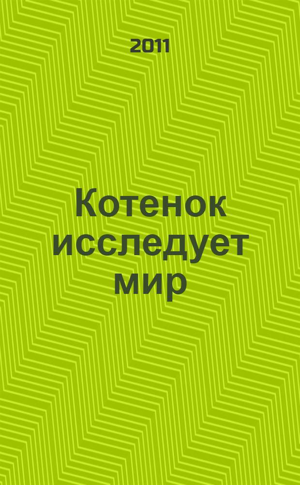 Котенок исследует мир