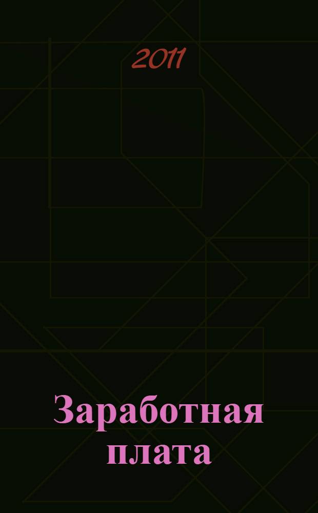 Заработная плата: бухгалтерские, налоговые и правовые аспекты : практическое пособие : трудовой договор: заключение, внесение изменений и расторжение, рабочее время и отпуска, расчет заработной платы, начисления и удержания, налогообложение заработной платы, гарантии и компенсации