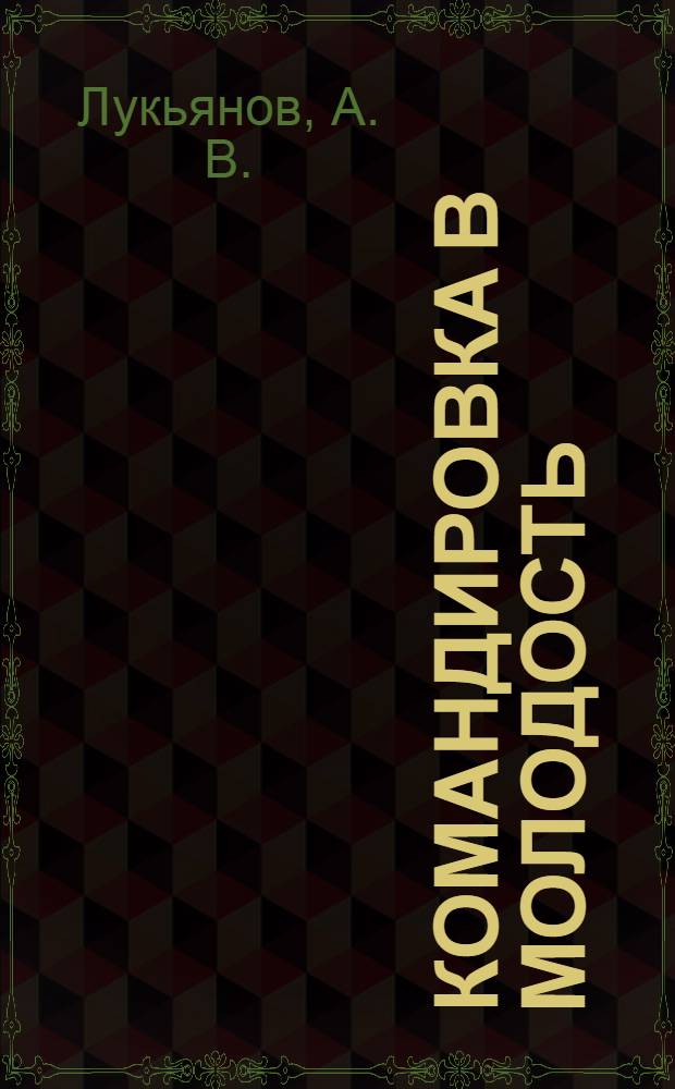 Командировка в молодость