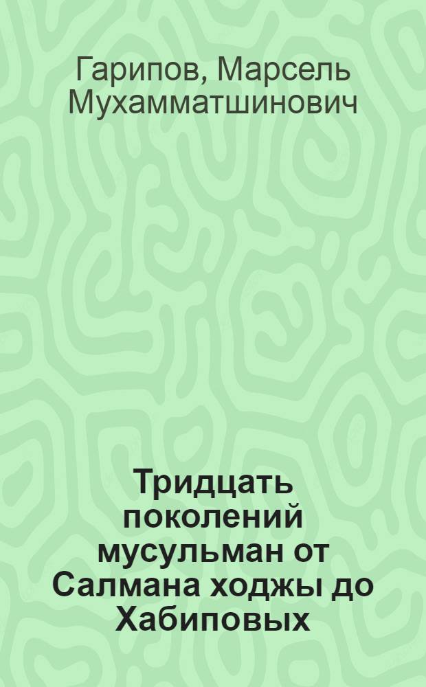 Тридцать поколений мусульман от Салмана ходжы до Хабиповых : исторические очерки
