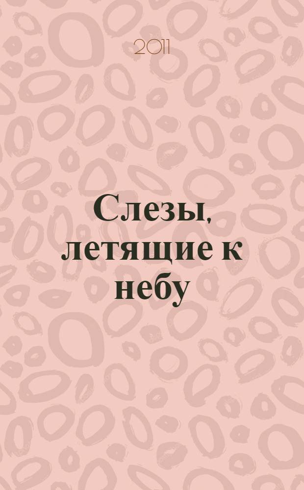 Слезы, летящие к небу : зачем современному человеку христианство?
