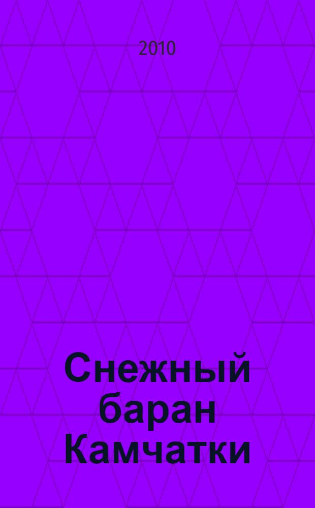 Снежный баран Камчатки