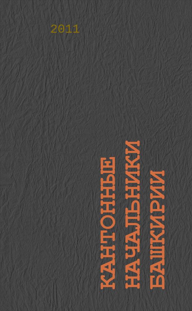 Кантонные начальники Башкирии: национальная региональная элита первой половины XIX века