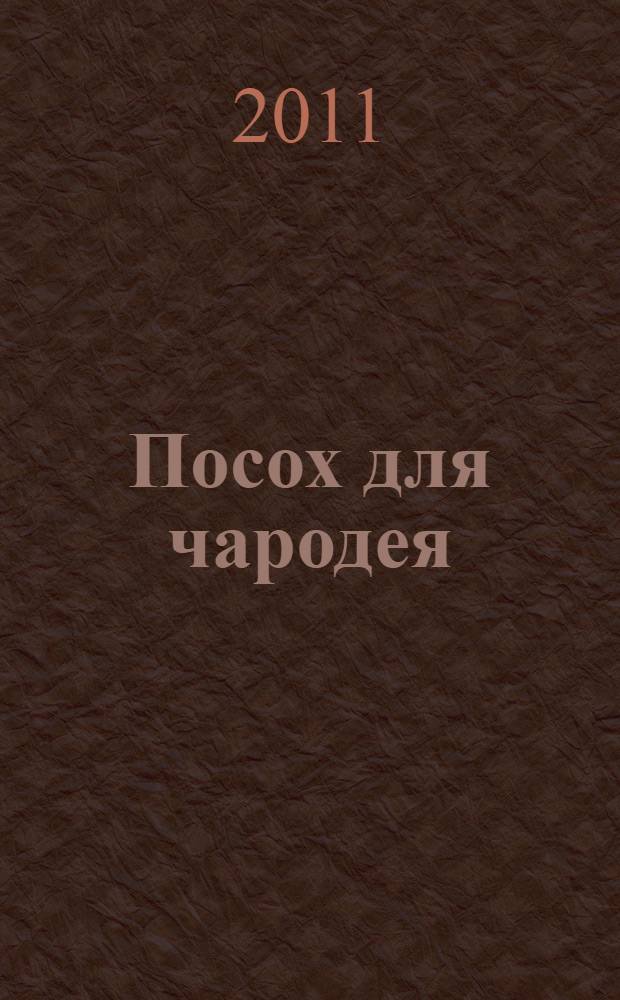 Посох для чародея : роман