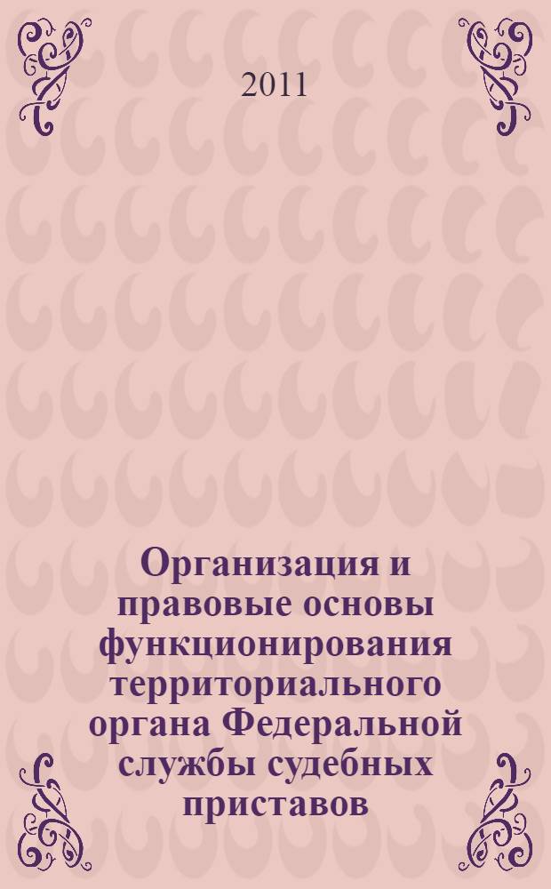 Организация и правовые основы функционирования территориального органа Федеральной службы судебных приставов : автореферат диссертации на соискание ученой степени кандидата юридических наук : специальность 12.00.11 <Судебная власть, прокурорский надзор, организация правоохранительной деятельности, адвокатура>