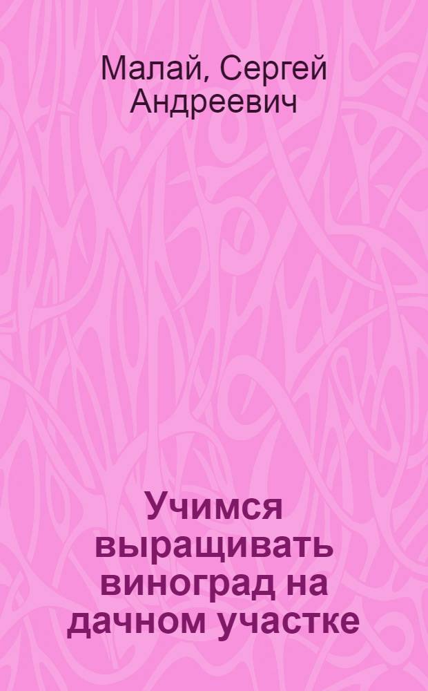 Учимся выращивать виноград на дачном участке