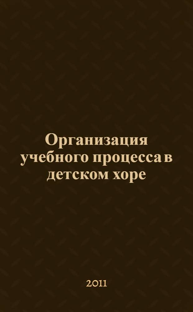 Организация учебного процесса в детском хоре : методическое пособие