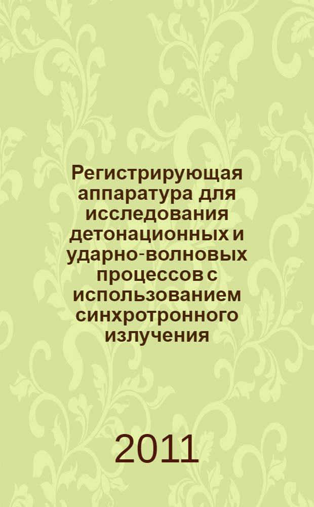 Регистрирующая аппаратура для исследования детонационных и ударно-волновых процессов с использованием синхротронного излучения : автореферат диссертации на соискание ученой степени кандидата технических наук : специальность 01.04.01 <Приборы и методы экспериментальной физики>