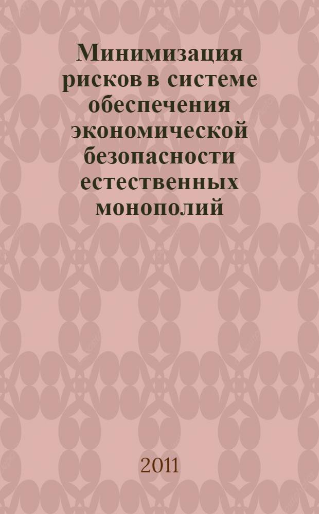 Минимизация рисков в системе обеспечения экономической безопасности естественных монополий: концепция, модель, инструментарий : автореферат диссертации на соискание ученой степени кандидата экономических наук : специальность 08.00.05 <Экономика и управление народным хозяйством по отраслям и сферам деятельности>