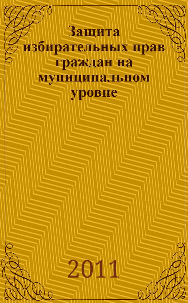 Защита избирательных прав граждан на муниципальном уровне : научно-практическое пособие