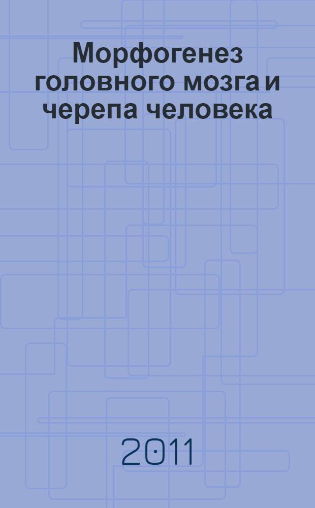 Морфогенез головного мозга и черепа человека = Morphogenesis of human brain and cranium : монография