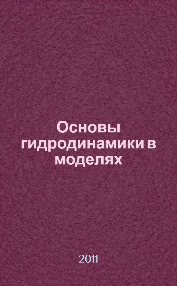 Основы гидродинамики в моделях : учебное пособие для студентов физико-математических и технических специальностей высших учебных заведений