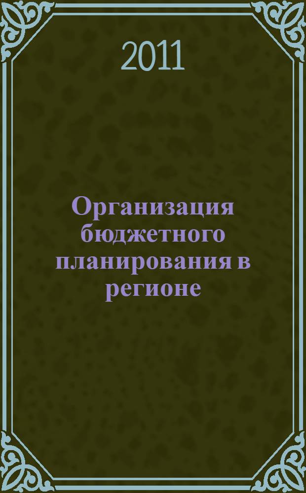 Организация бюджетного планирования в регионе: вопросы теории и практики : монография