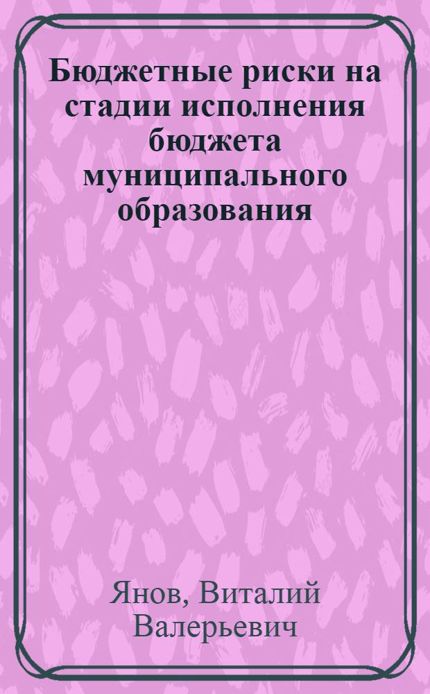 Бюджетные риски на стадии исполнения бюджета муниципального образования : монография