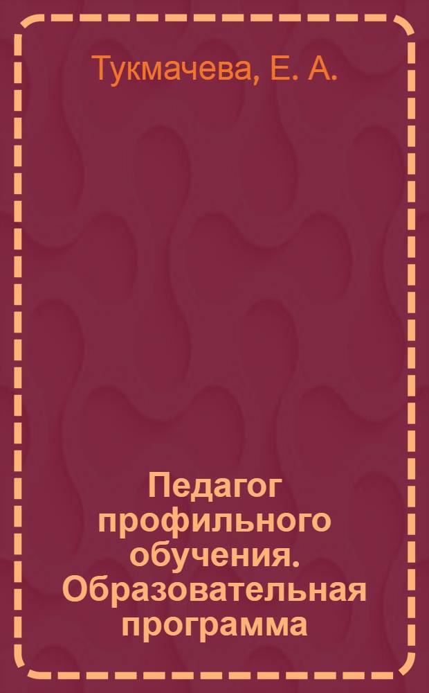 Педагог профильного обучения. Образовательная программа
