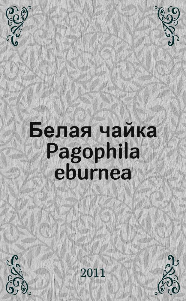 Белая чайка Pagophila eburnea (Phipps, 1774) в российской Арктике: особенности гнездования вида в современном оптимуме ареала : автореф. дис. на соиск. учен. степ. к. б. н. : специальность 03.02.04 <Зоология>