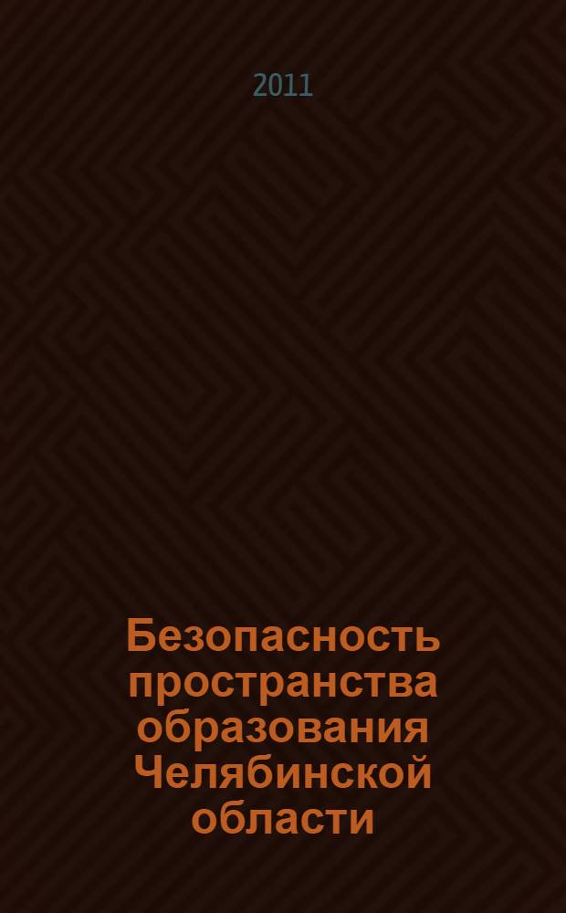 Безопасность пространства образования Челябинской области : коллективная монография : сборник
