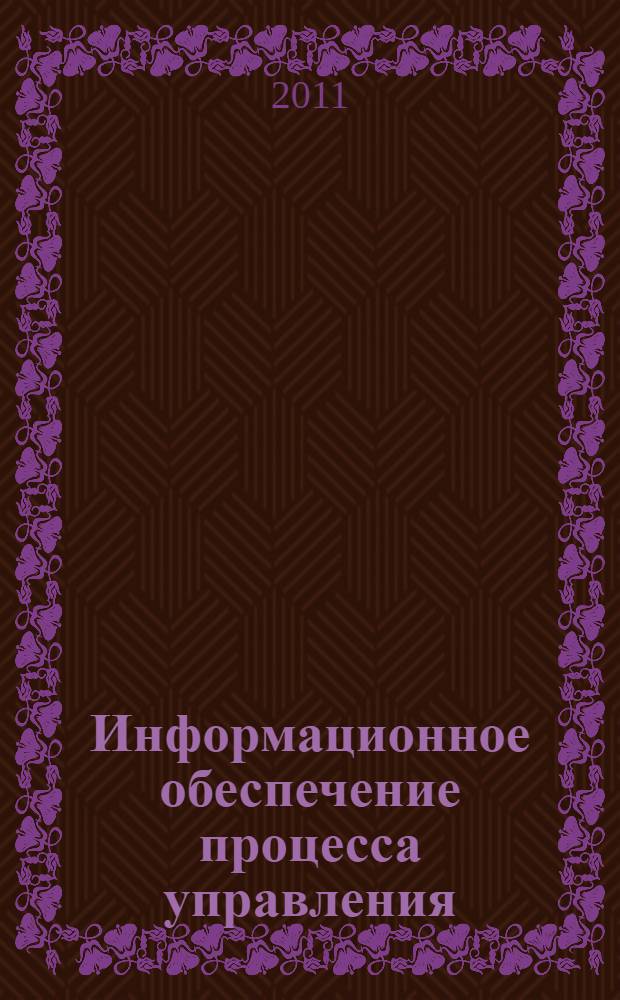 Информационное обеспечение процесса управления : монография