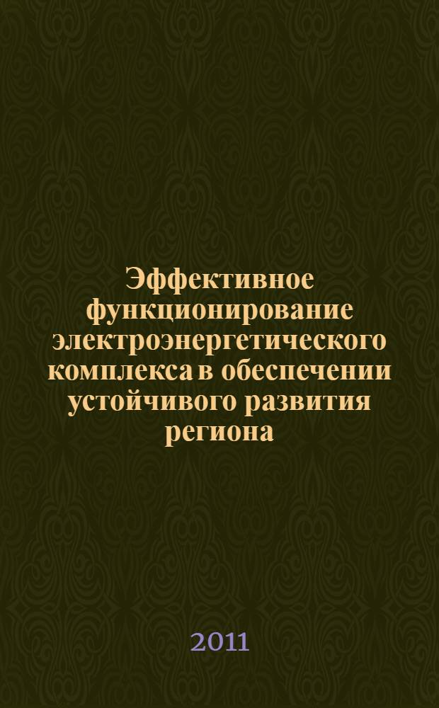 Эффективное функционирование электроэнергетического комплекса в обеспечении устойчивого развития региона (на примере Республики Дагестан) : автореферат диссертации на соискание ученой степени кандидата экономических наук : специальность 08.00.05 <Экономика и управление народным хозяйством по отраслям и сферам деятельности>