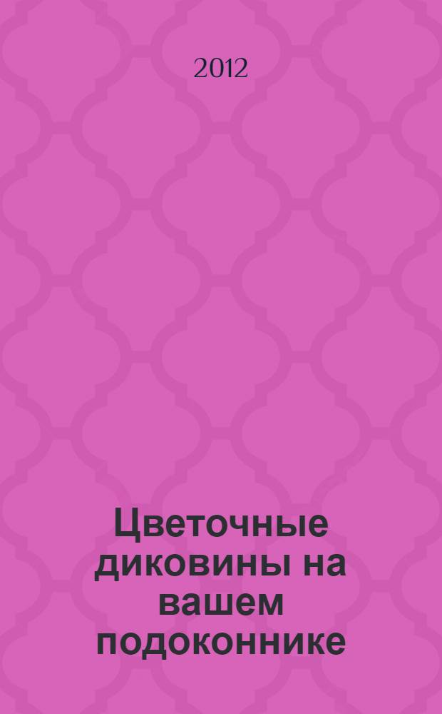 Цветочные диковины на вашем подоконнике