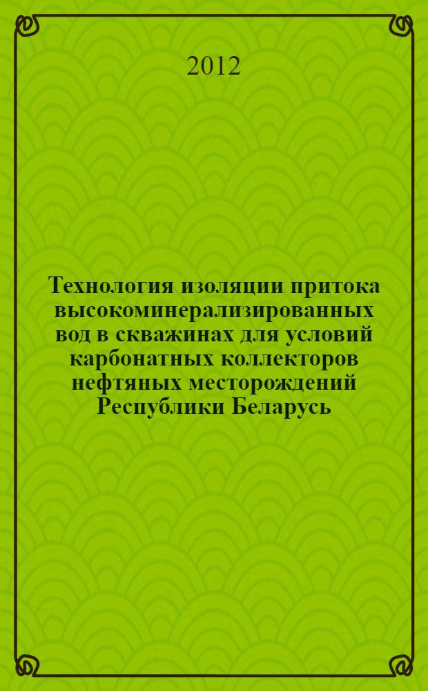 Технология изоляции притока высокоминерализированных вод в скважинах для условий карбонатных коллекторов нефтяных месторождений Республики Беларусь : автореф. дис. на соиск. учен. степ. к. т. н. : специальность 25.00.17 <Разработка и эксплуатация нефтяных и газовых месторождений>