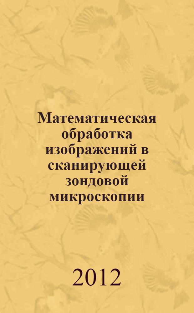 Математическая обработка изображений в сканирующей зондовой микроскопии : учебно-методическое пособие : по дисциплине "Решение физических задач на компьютере для студентов, обучающихся по направлению 050100 - Педагогическое образование, профиль - "Физическое образование" и 011200 Физика, профиль - "Физика конденсированного состояния вещества"