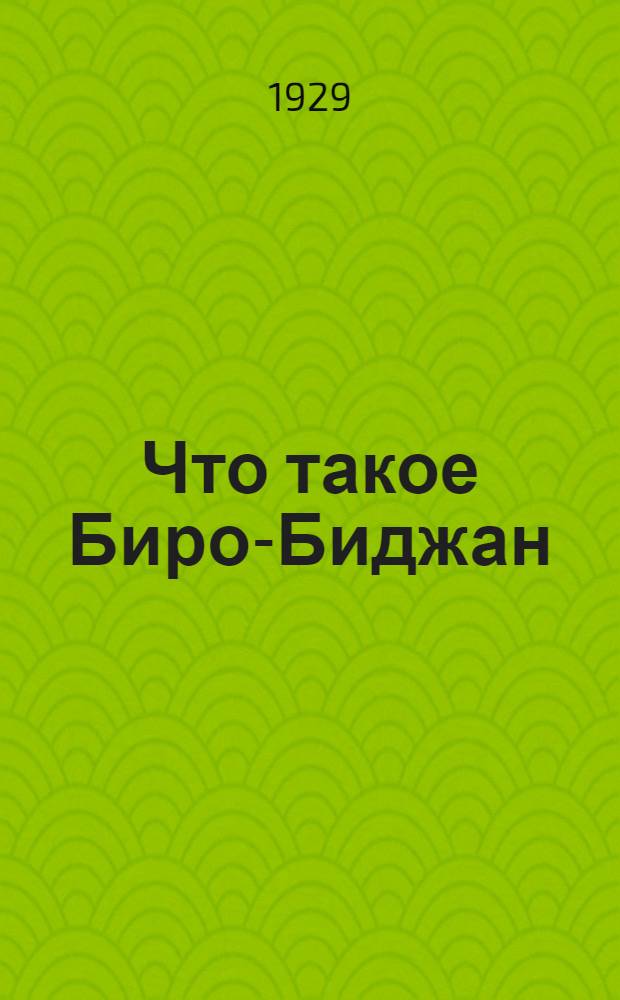 Что такое Биро-Биджан