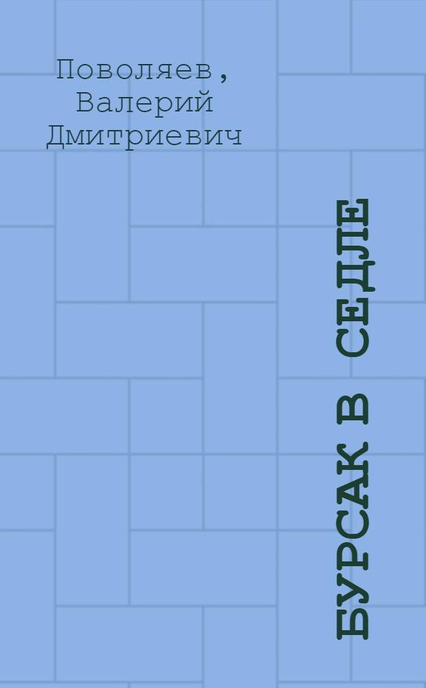 Бурсак в седле : роман : о войсковом атамане Уссурийского казачьего войска генерал-майоре Иване Павловиче Калмыкове (1890-1920) : 16+
