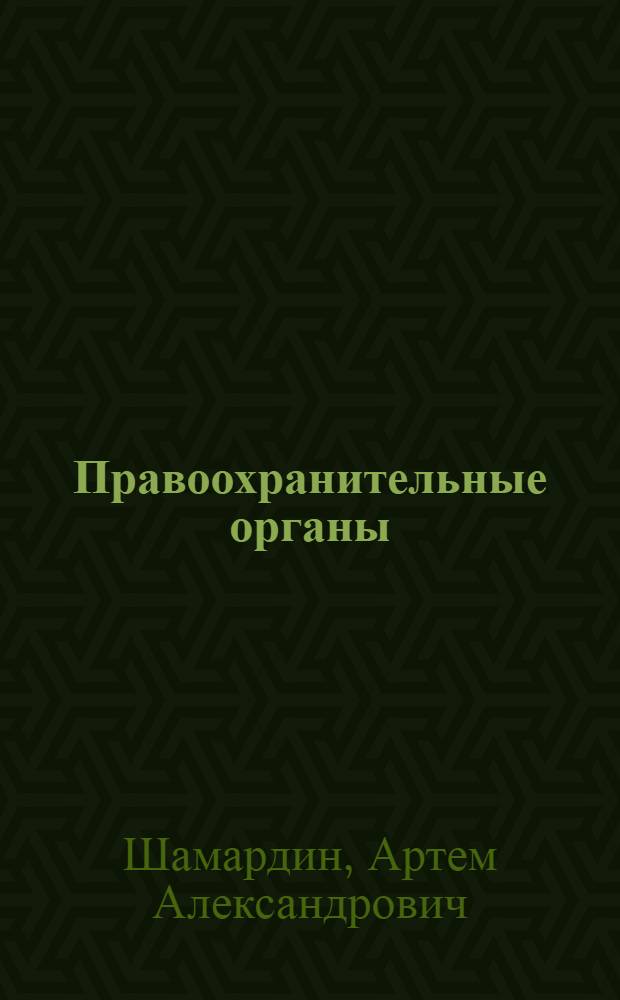 Правоохранительные органы : учебное пособие
