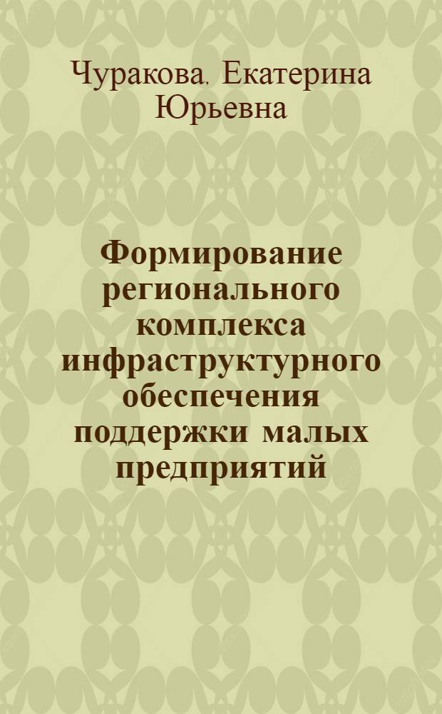 Формирование регионального комплекса инфраструктурного обеспечения поддержки малых предприятий : автореф. дис. на соиск. учен. степ. к. э. н. : специальность 08.00.05 <Экономика и управление народным хозяйством по отраслям и сферам деятельности>