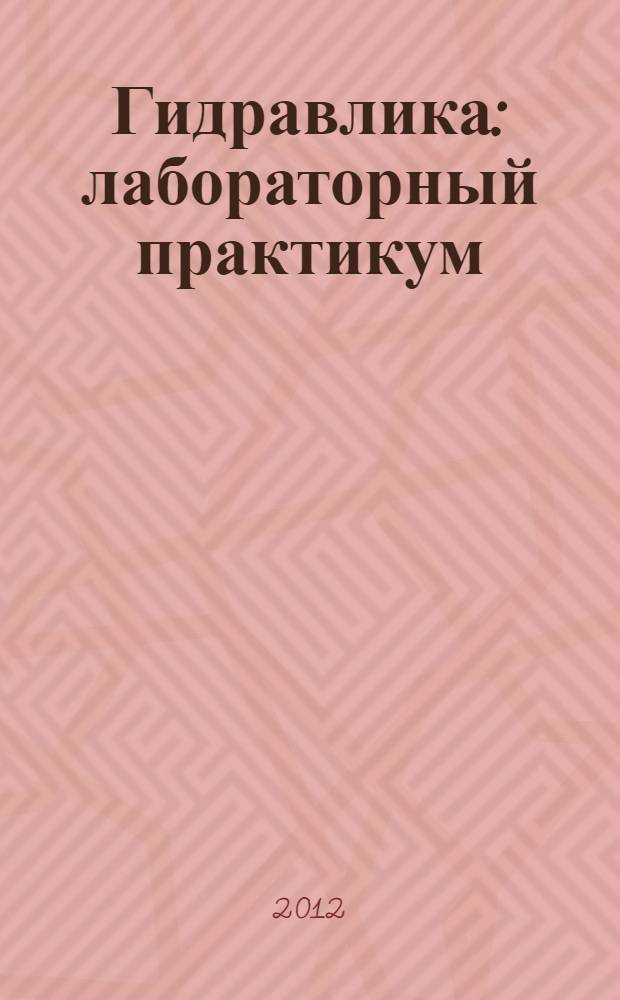 Гидравлика: лабораторный практикум: учебное пособие
