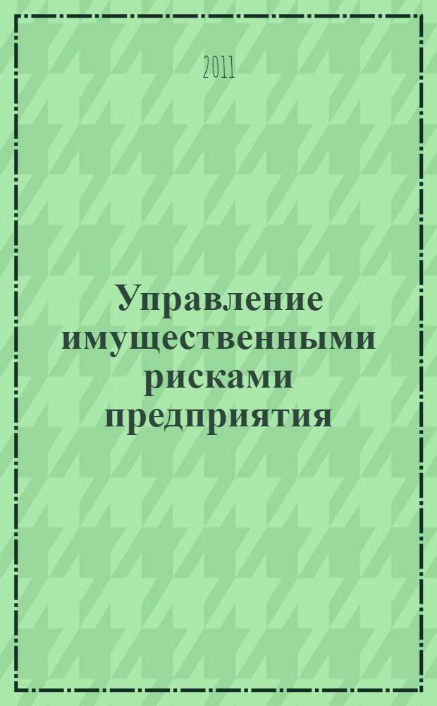 Управление имущественными рисками предприятия : монография
