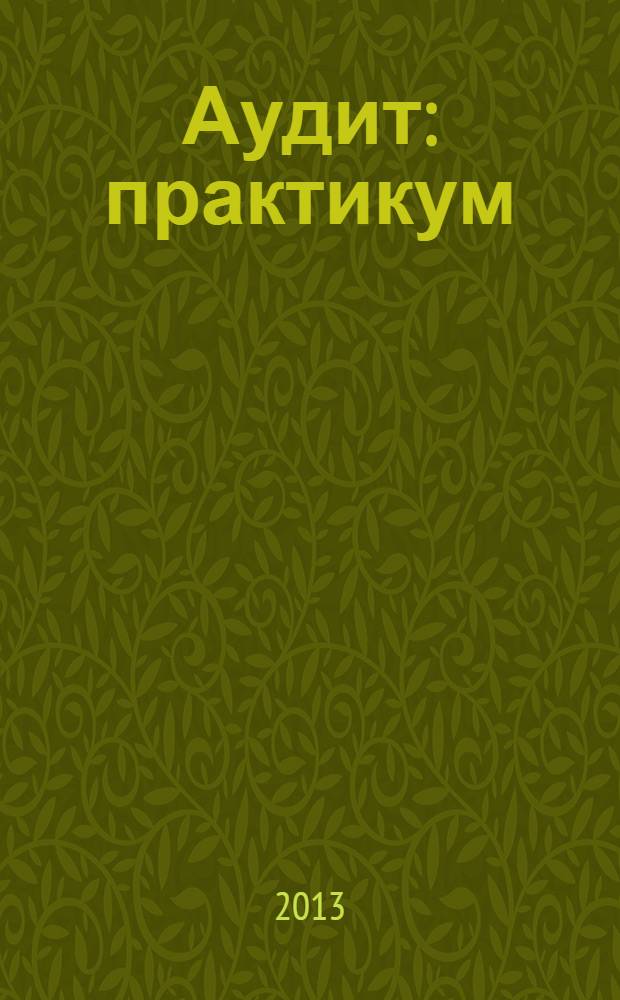 Аудит : практикум : учебное пособие для студентов учреждений среднего профессионального образования, обучающихся по группе специальностей "Экономика и управление"