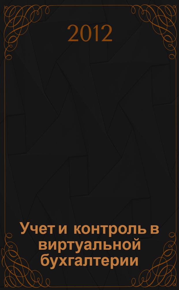 Учет и контроль в виртуальной бухгалтерии : монография