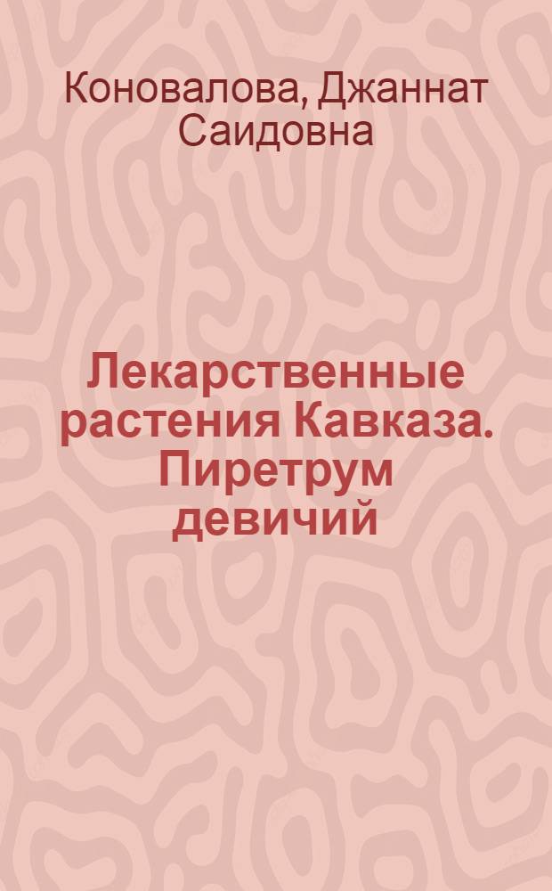 Лекарственные растения Кавказа. Пиретрум девичий