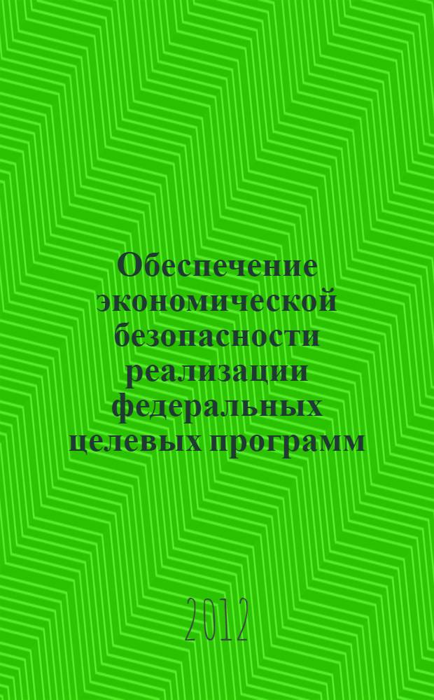 Обеспечение экономической безопасности реализации федеральных целевых программ : монография