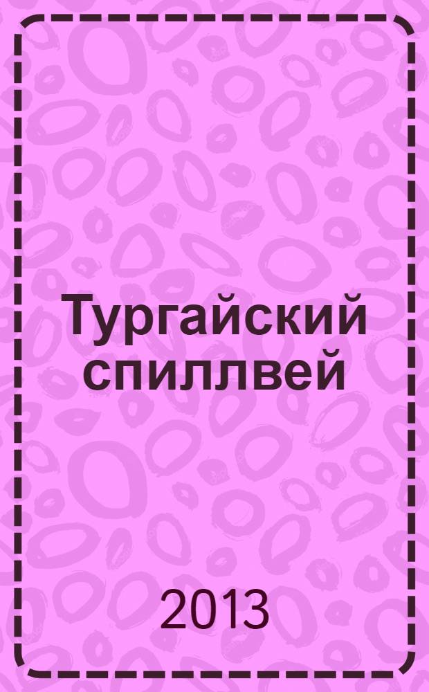 Тургайский спиллвей : к истории становления и развития речной сети Арало-Иртышского региона : монография