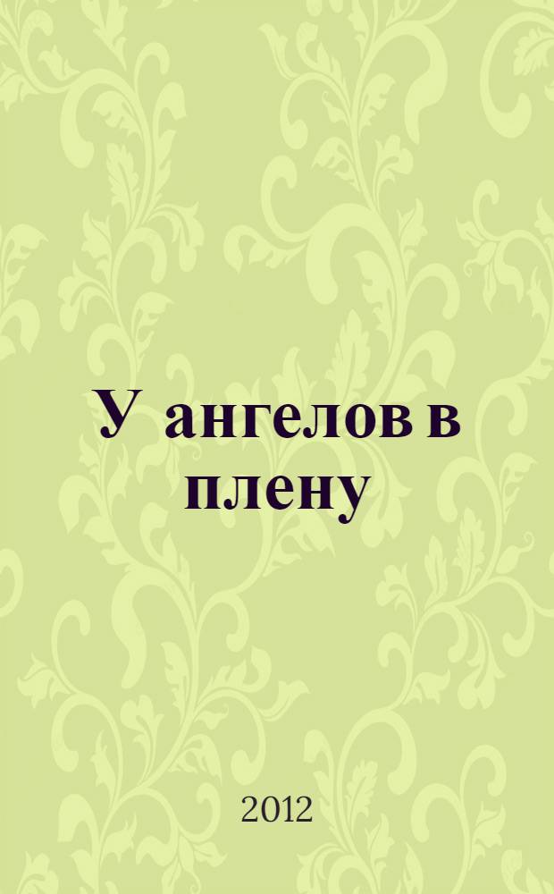 У ангелов в плену : петербургский репортаж