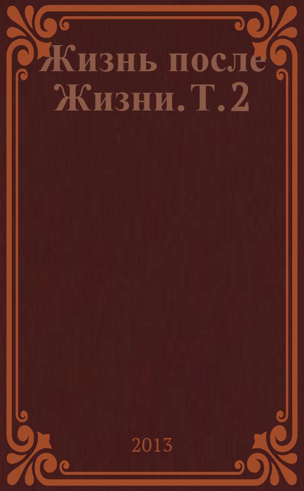 Жизнь после Жизни. Т. 2