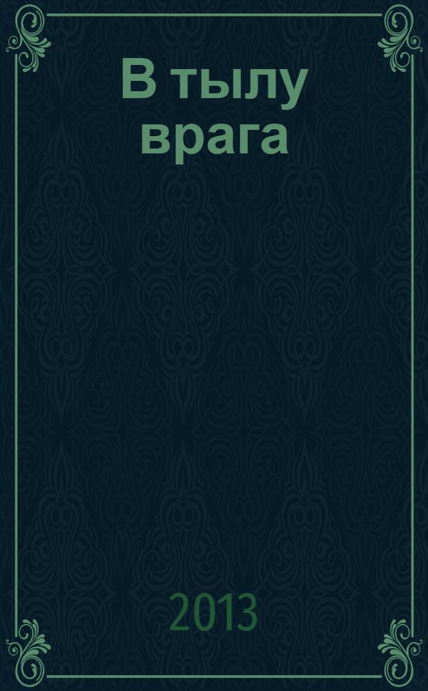 В тылу врага : роман
