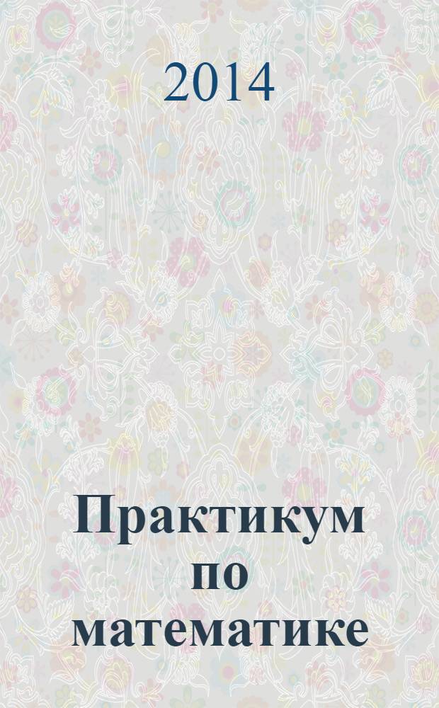 Практикум по математике: подготовка к выполнению части C