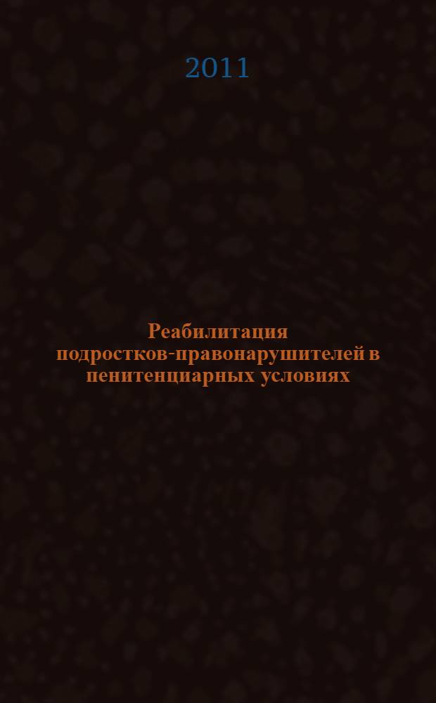 Реабилитация подростков-правонарушителей в пенитенциарных условиях: коммуникативное решение проблемы : монография