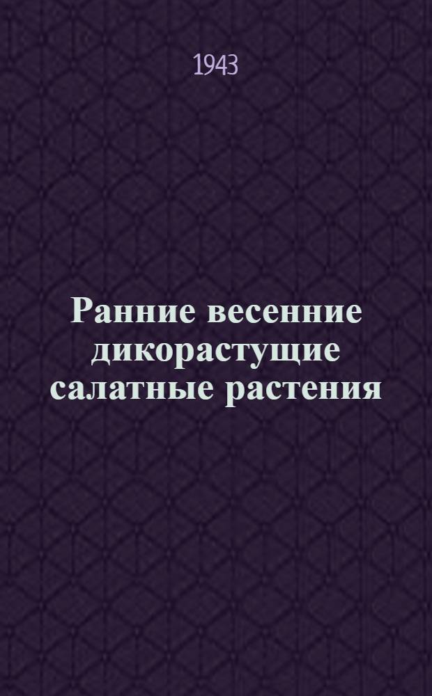 Ранние весенние дикорастущие салатные растения