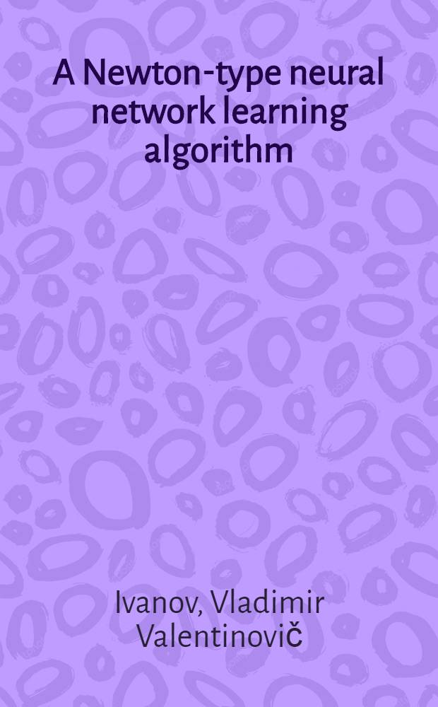 A Newton-type neural network learning algorithm