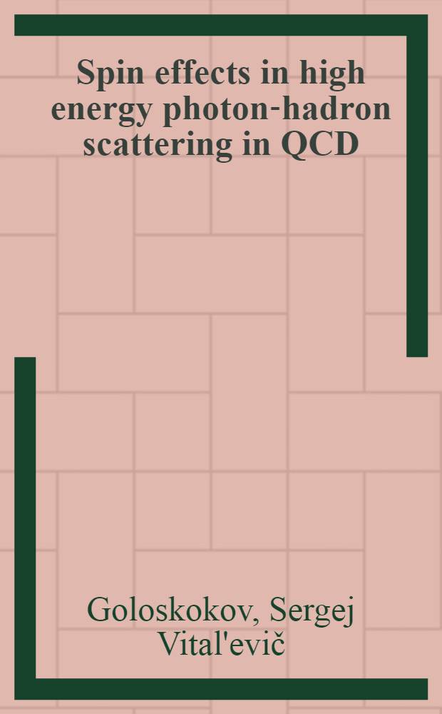 Spin effects in high energy photon-hadron scattering in QCD