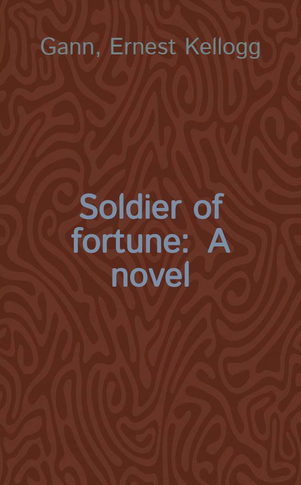Soldier of fortune : A novel
