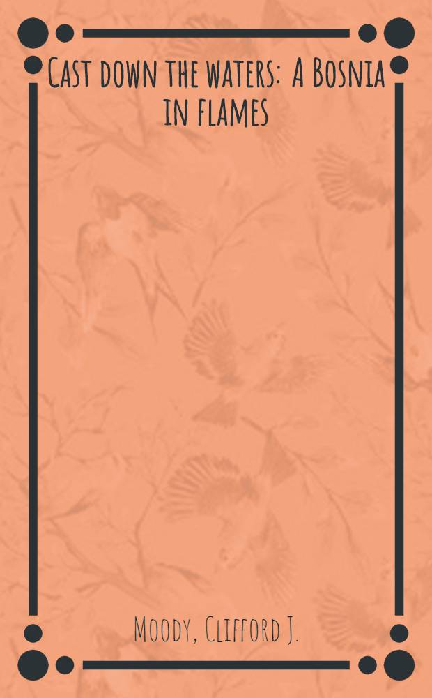 Cast down the waters : A Bosnia in flames : A novel